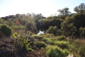 2025-06-21 Bartons Park - IMG_2565_compressed_q50.webp